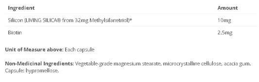 MMST Silicon